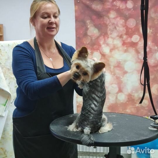 Груминг собак. Стрижка кошек. Передержка