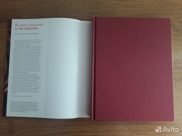 Великие открытия в Медицине