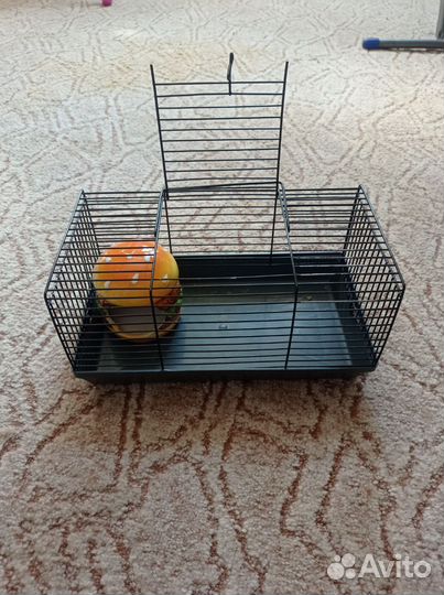 Клетка для джунгарского хомяка