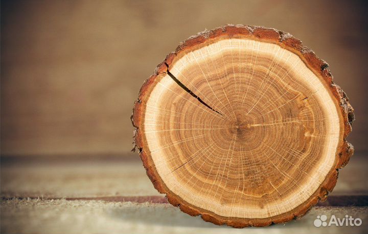 Рабочий на участок переработки древесины