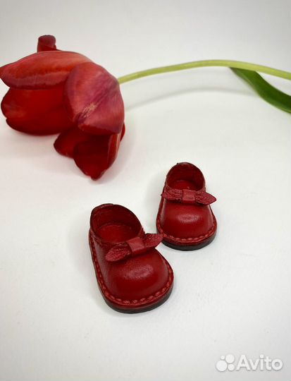 Туфельки для Паола Рейна