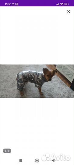 Тёплая куртка для собаки