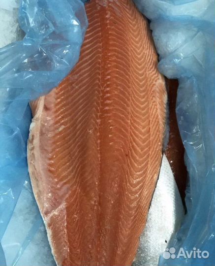 Форель и семга охлажденная опт