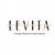 Международная сеть балета и растяжки LEVITA