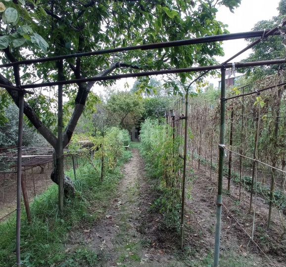 Участок 6,7 сот. (СНТ, ДНП)