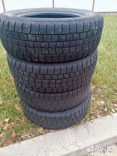 Dunlop SP Winter Maxx WM01 185/65 R15