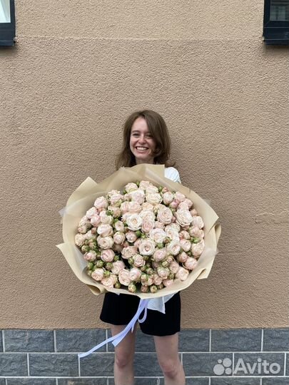 Розы Пиновыдные Кустовые розы