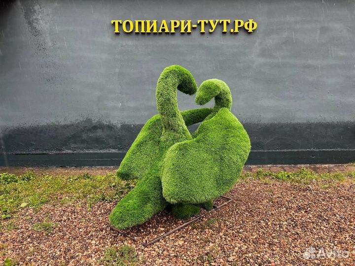 Топиари Топиарные фигуры Садовые фигуры