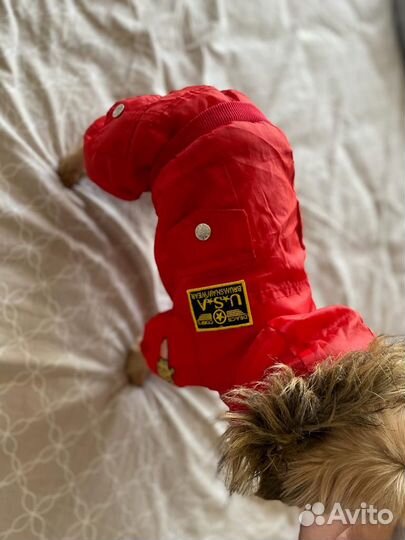 Комбинезон для маленькой собаки