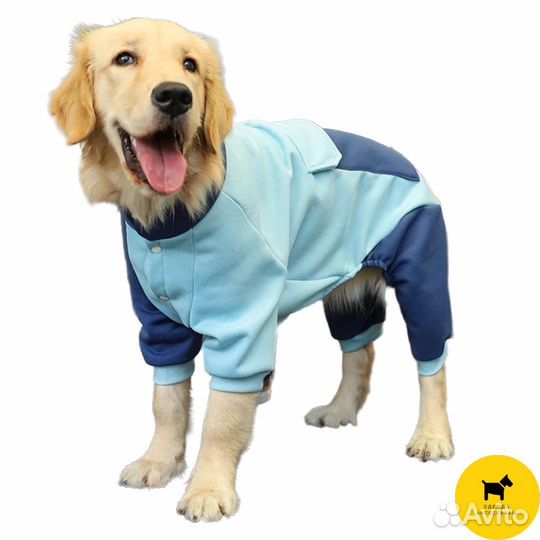 Толстовки для собак. Одежда и обувь для собак