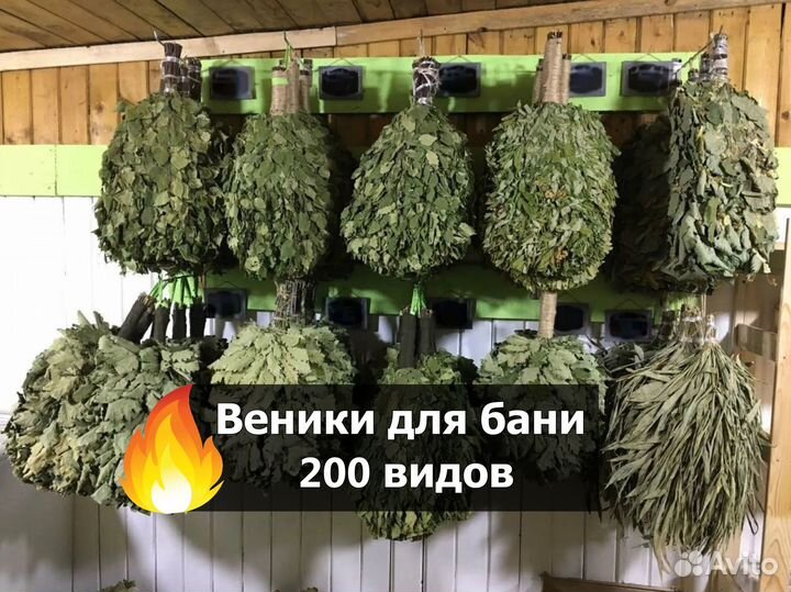 Веники для бани. Можжевеловый Только оптом от 100ш