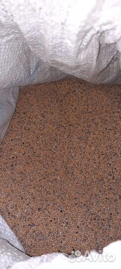 Горчица белая сидерат