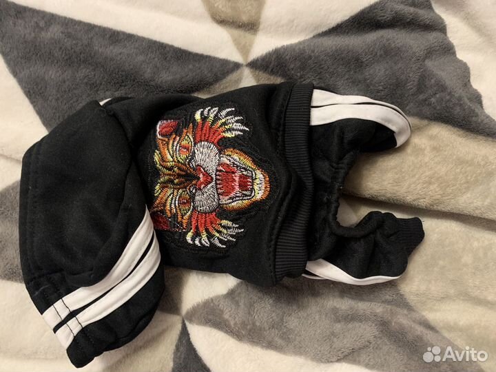 Одежда для маленьких собак xs