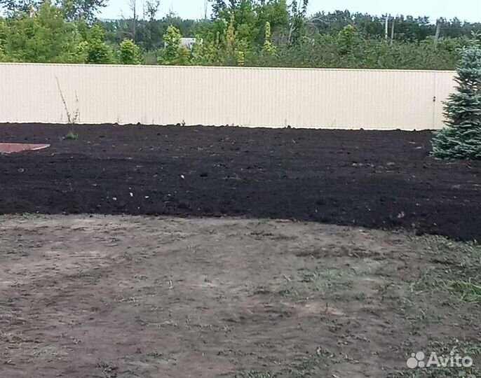 Чернозём