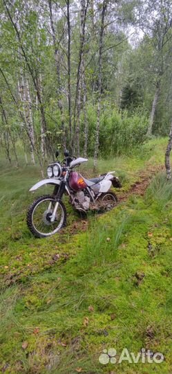Honda xr250 baja