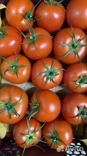 Овощи фрукты