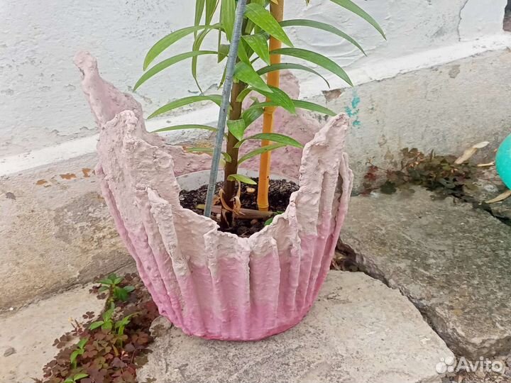 Ваза для флорариума