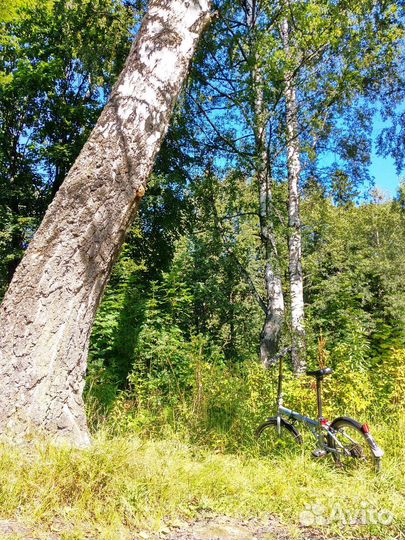 Бронь Городской велосипед Forward. Складной