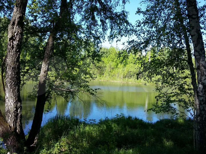 Участок 12 сот. (СНТ, ДНП)