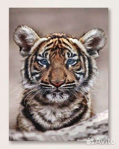 Алмазная мозаика на подрамнике 30*40 Рыжий кот