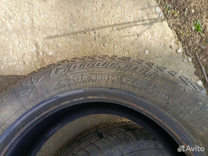 Cordiant Polar SL 175/65 R14