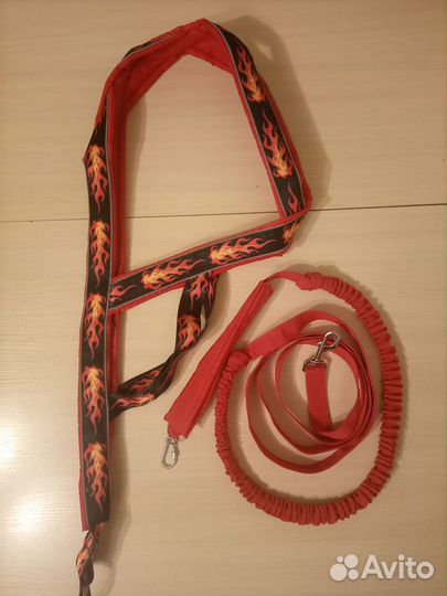 Шлейки и амуниция для собак