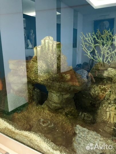 Аквариум