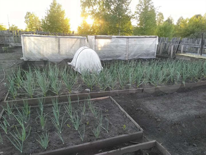 Дом 15 м² на участке 8 сот.