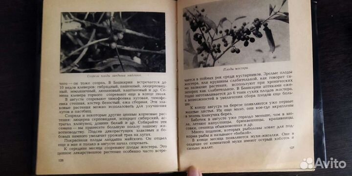 Книга Календарь природы Башкирии