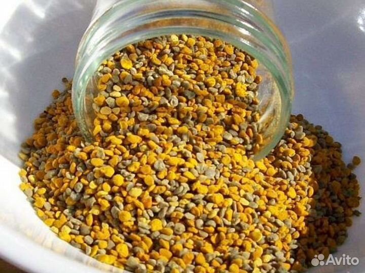 Пыльца пчелиная 2022