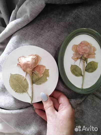 Ботанический барельеф