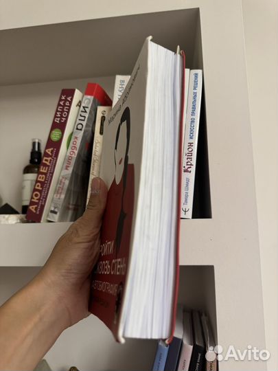 Марина Абрамович Пройти сквозь стены