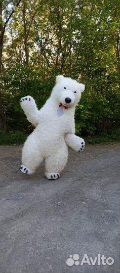 Поздравления Мишка / Панда