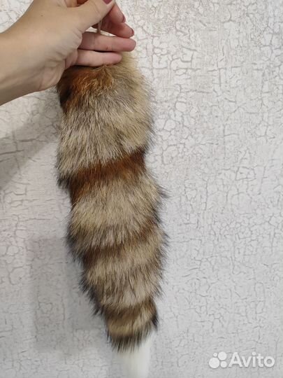 Лисий хвост