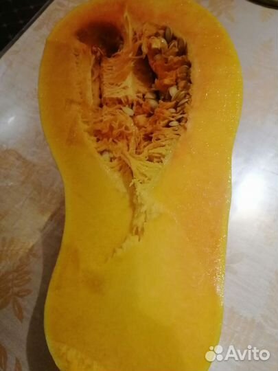 Тыква сладкая мускатная и другая