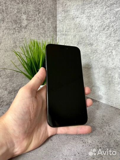 iPhone 15 Pro Max, 256 ГБ