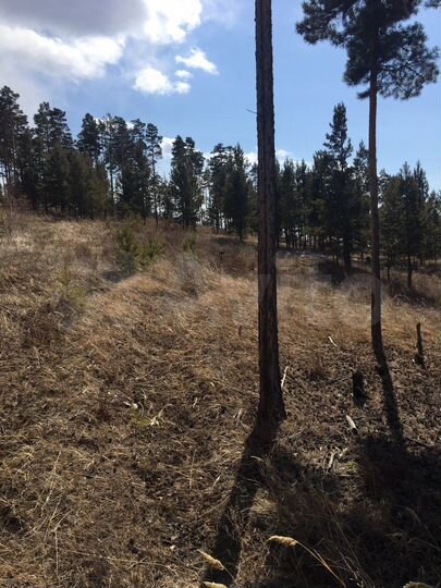 Участок 8 сот. (ИЖС)