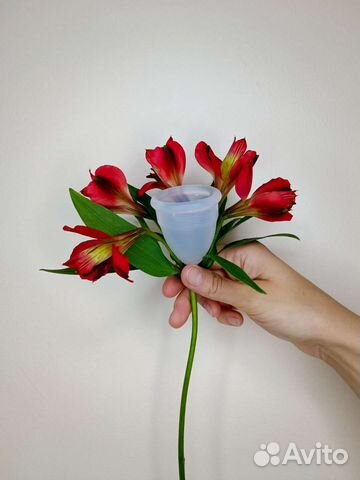 Менструальная чаша