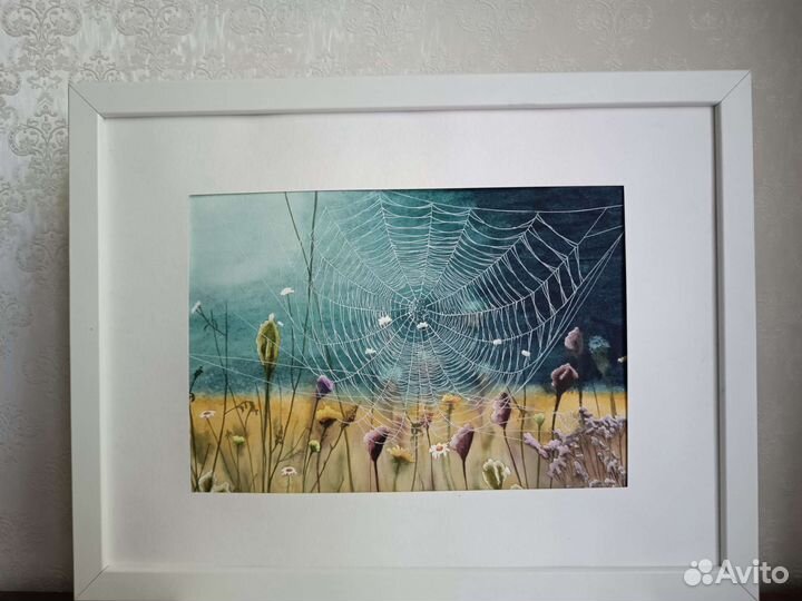 Картина акварелью «Паутинка»