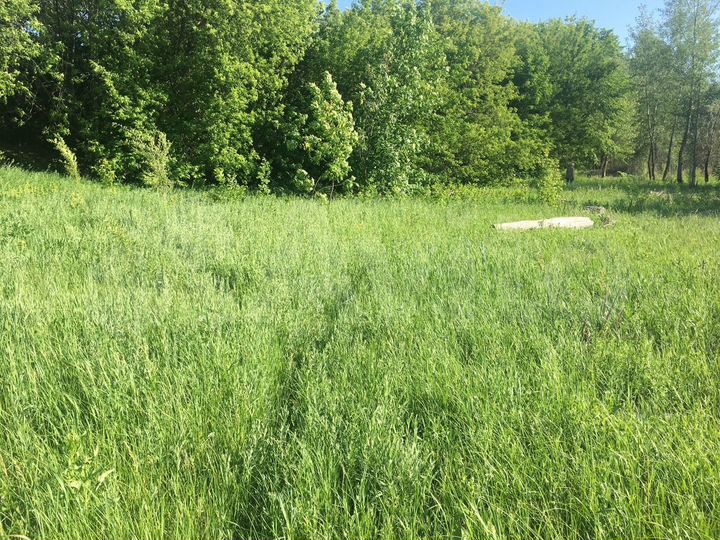 Участок 15 сот. (ИЖС)