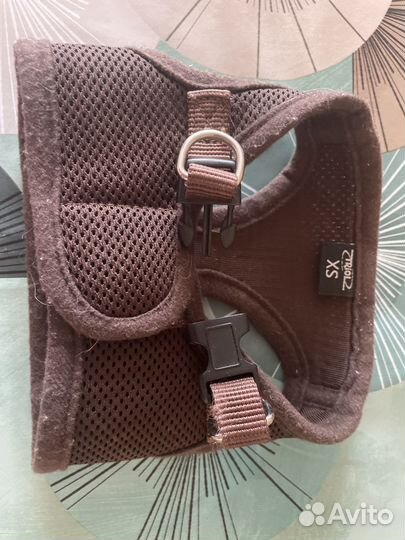 Одежда и обувь для собак