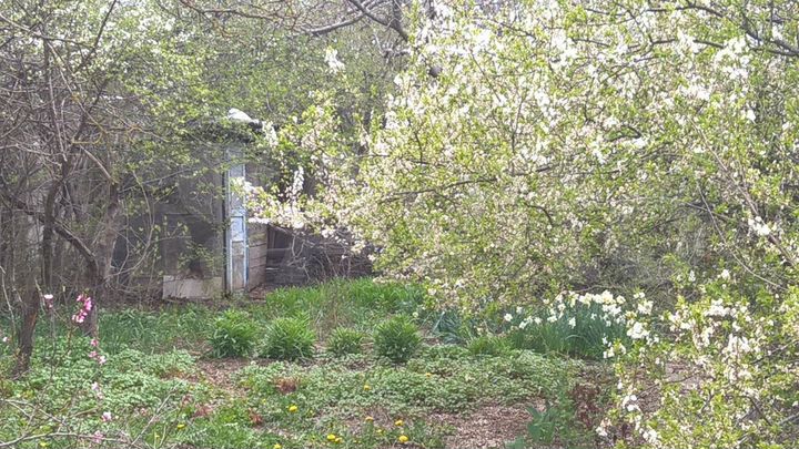 Участок 4,1 сот. (СНТ, ДНП)