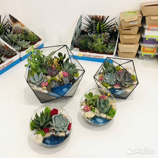 Флорариумы в наличии