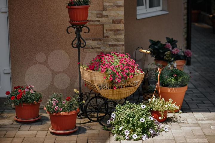 Гостиница, 620 м²