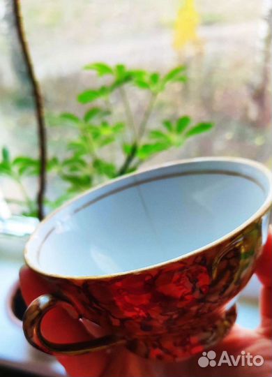 Чайный перламутровый сервиз. Кувшин. Стекло