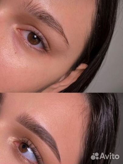 Обучение на бровиста