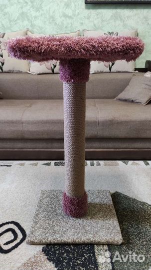 Когтеточки на любой вкус