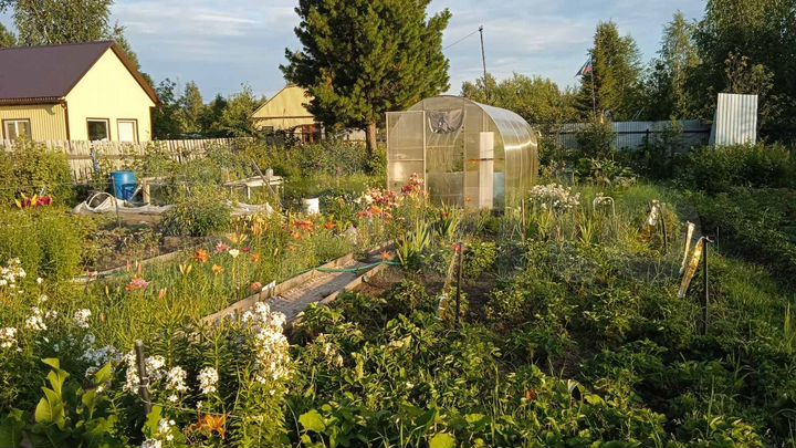 Дача 30 м² на участке 10 сот.