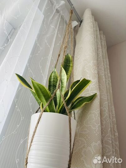 Подвес для кашпо джутовый