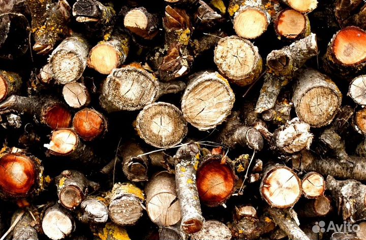Дрова в СПБ